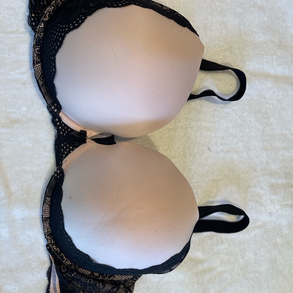 Torrid Bra